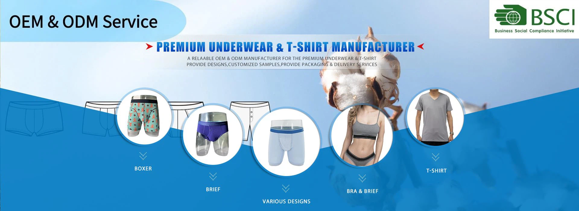 Underwear bra and tshirt