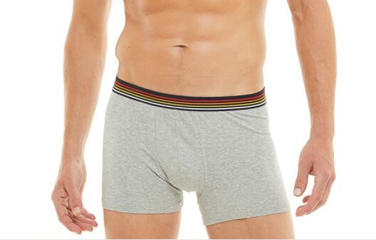 Ropa
