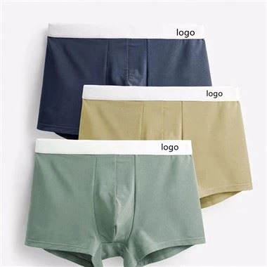 Custom Classical Cotton Boxer Shorts Male Basics Boxer Briefs